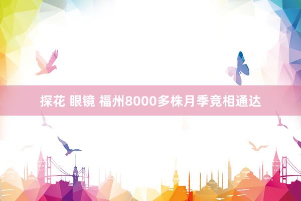 探花 眼镜 福州8000多株月季竞相通达