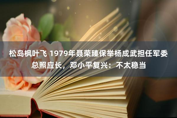 松岛枫叶飞 1979年聂荣臻保举杨成武担任军委总照应长，邓小平复兴：不太稳当