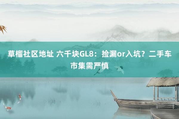 草榴社区地址 六千块GL8：捡漏or入坑？二手车市集需严慎