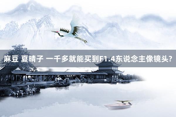麻豆 夏晴子 一千多就能买到F1.4东说念主像镜头?
