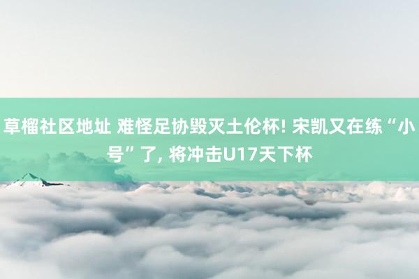 草榴社区地址 难怪足协毁灭土伦杯! 宋凯又在练“小号”了， 将冲击U17天下杯