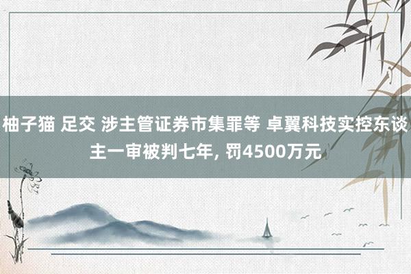 柚子猫 足交 涉主管证券市集罪等 卓翼科技实控东谈主一审被判七年， 罚4500万元