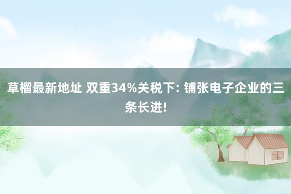 草榴最新地址 双重34%关税下: 铺张电子企业的三条长进!