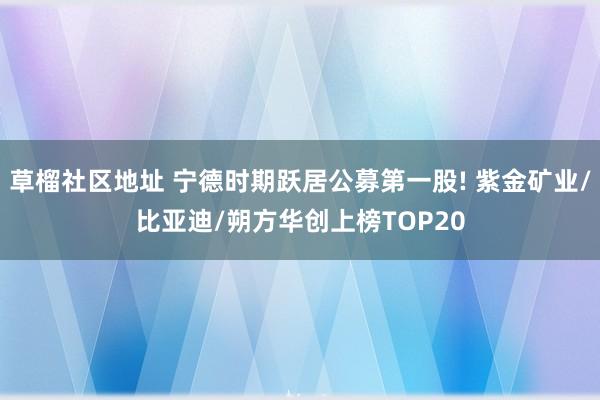 草榴社区地址 宁德时期跃居公募第一股! 紫金矿业/比亚迪/朔方华创上榜TOP20