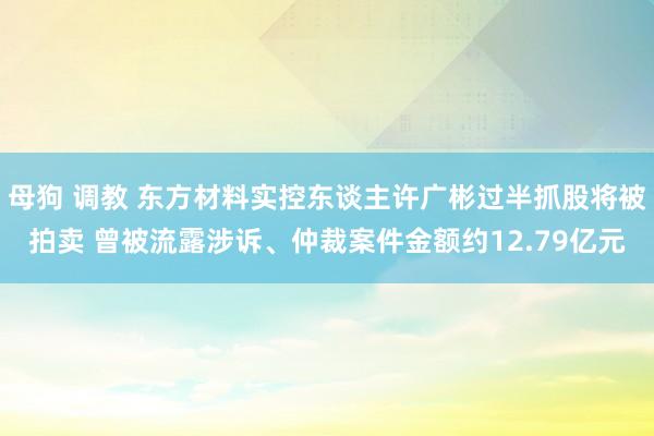 母狗 调教 东方材料实控东谈主许广彬过半抓股将被拍卖 曾被流露涉诉、仲裁案件金额约12.79亿元
