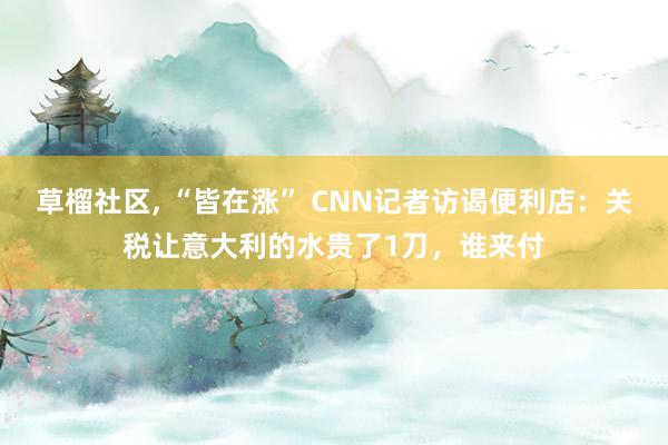 草榴社区， “皆在涨” CNN记者访谒便利店：关税让意大利的水贵了1刀，谁来付