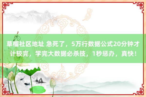 草榴社区地址 急死了，5万行数据公式20分钟才计较完，学完大数据必杀技，1秒惩办，真快！