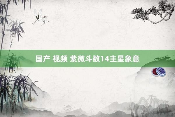 国产 视频 紫微斗数14主星象意