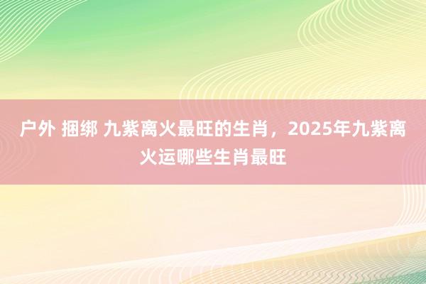 户外 捆绑 九紫离火最旺的生肖，2025年九紫离火运哪些生肖最旺