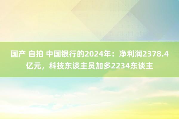 国产 自拍 中国银行的2024年：净利润2378.4亿元，科技东谈主员加多2234东谈主